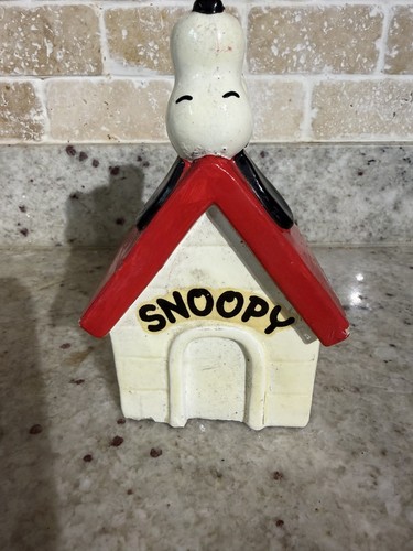 Vintage 1979 snoopy money - vintage, box