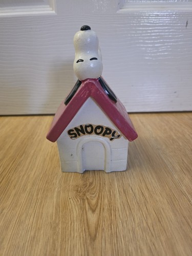 Vintage snoopy money - money, bank