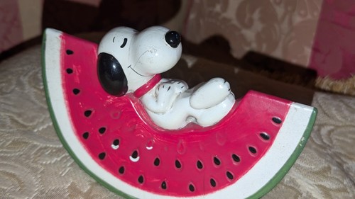 Vintage snoopy watermelon - snoopy,