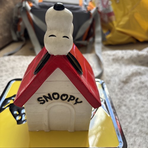 Snoopy money box - money,