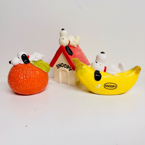 Vintage snoopy money - money, boxes